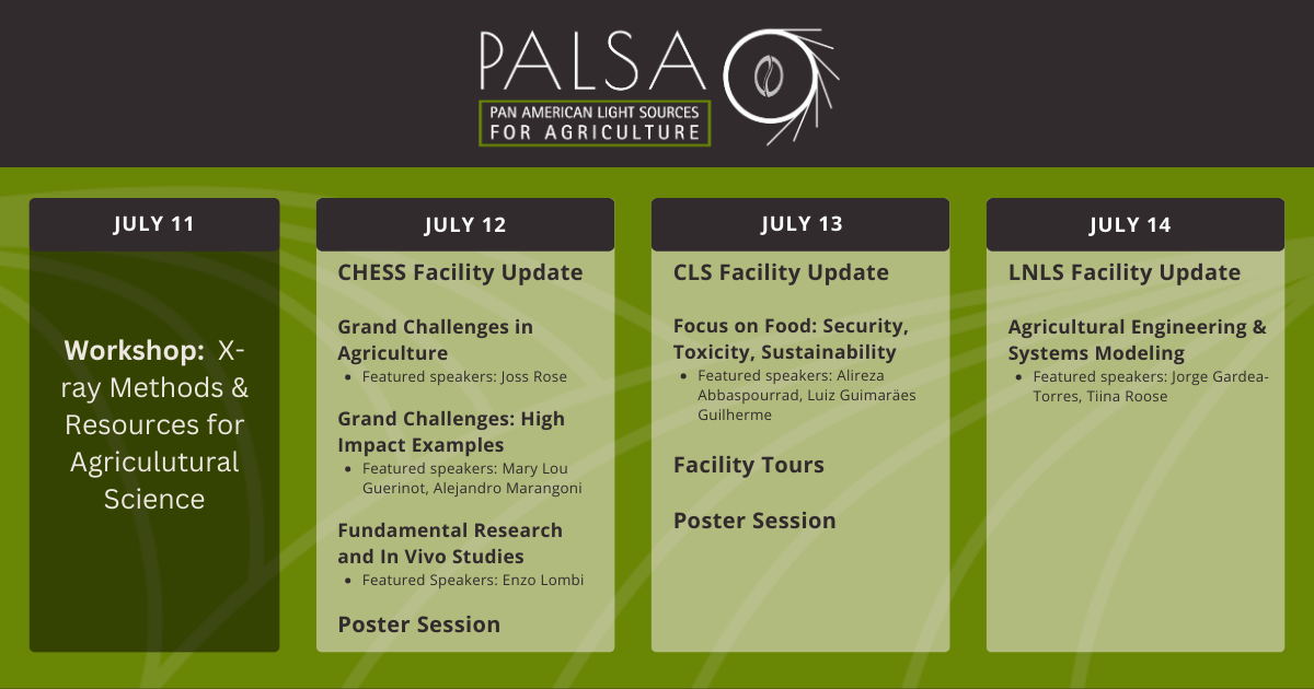 Graphical representation of the PALSA agenda.